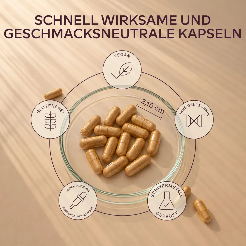 Aavalabs Eisenbisglycinat mit Vitamin C | Hochdosiert für Eisenmangel | 4-Monats-Vorrat> Sale