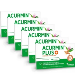 Acurmin PLUS – 185x bessere Curcumin Aufnahme>
