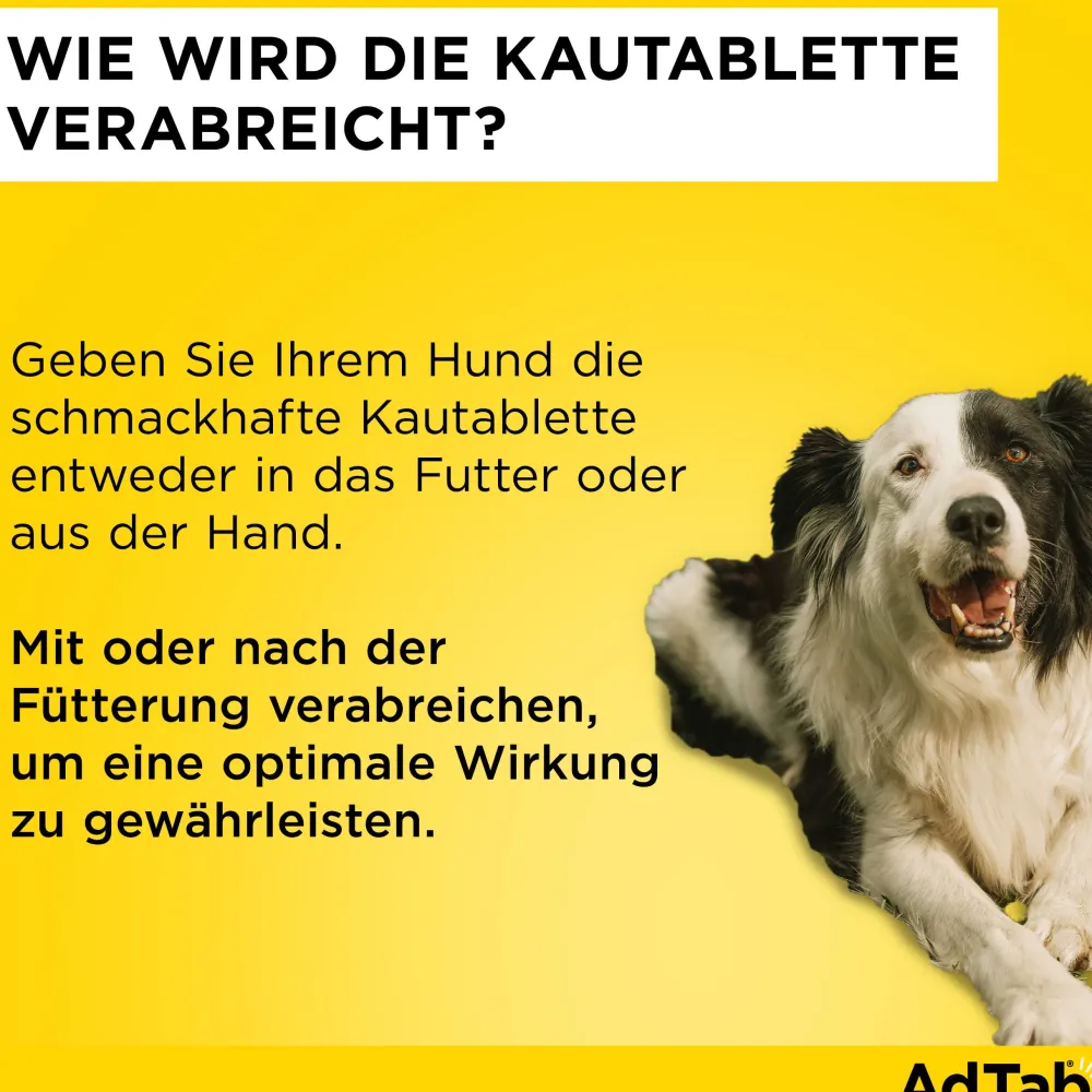 AdTab Kautabletten für Hunde über 1,3 bis 2,5 kg gegen Zecken und Flöhe, schnelle Abtötung von Parasiten für die Dauer von einem Monat> Hot