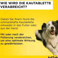 AdTab Kautabletten für Hunde über 22 bis 45 kg gegen Zecken und Flöhe, schnelle Abtötung von Parasiten für die Dauer von einem Monat| Clearance