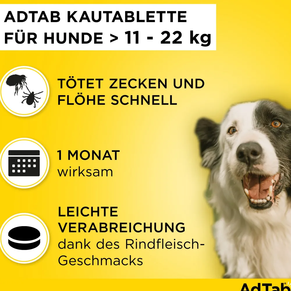 AdTab Kautabletten für Hunde über 11 bis 22 kg gegen Zecken und Flöhe, schnelle Abtötung von Parasiten für die Dauer von einem Monat> Online