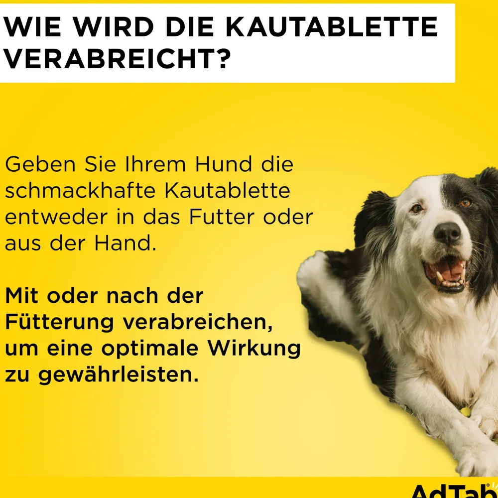 AdTab Kautabletten für Hunde über 11 bis 22 kg gegen Zecken und Flöhe, schnelle Abtötung von Parasiten für die Dauer von einem Monat> Online