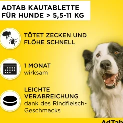 AdTab Kautabletten für Hunde über 5,5 bis 11 kg gegen Zecken und Flöhe, schnelle Abtötung von Parasiten für die Dauer von einem Monat><noscript><img width=
