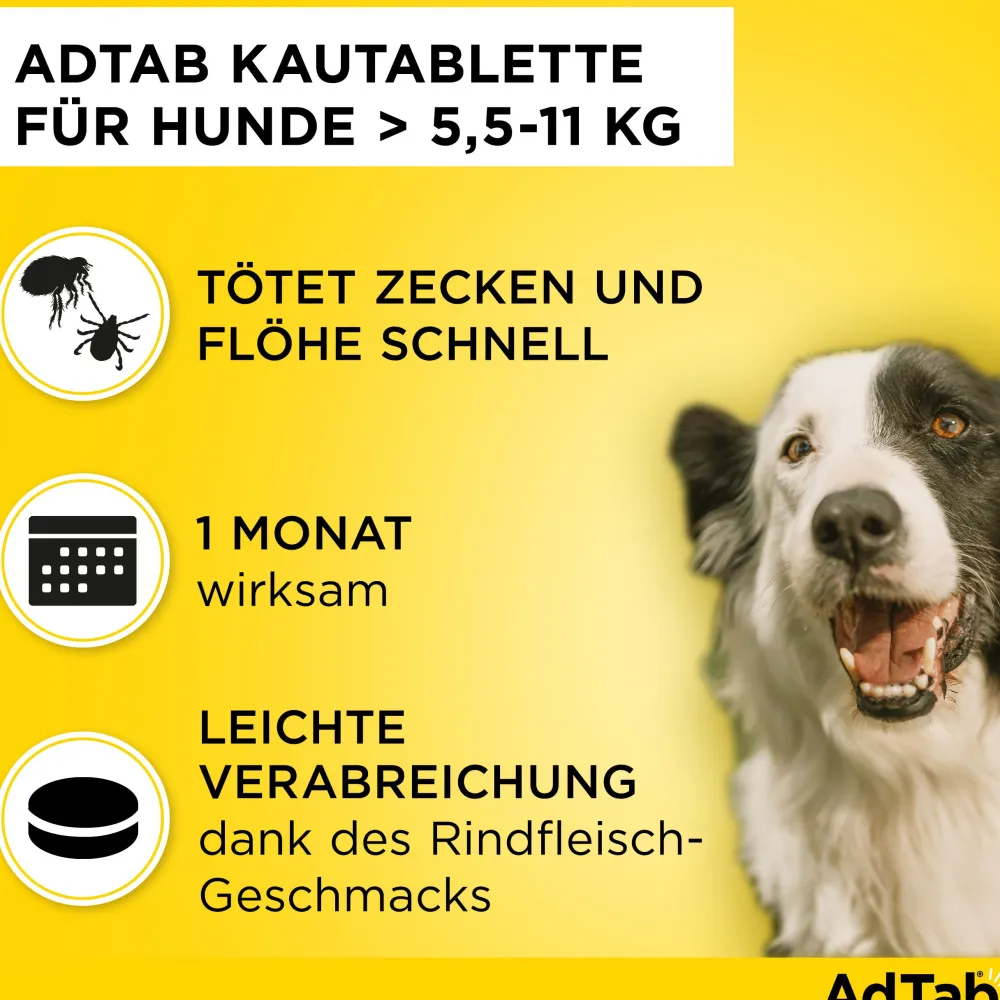 AdTab Kautabletten für Hunde über 5,5 bis 11 kg gegen Zecken und Flöhe, schnelle Abtötung von Parasiten für die Dauer von einem Monat> New