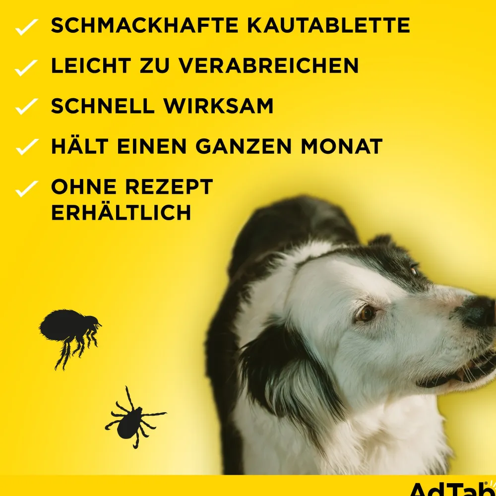 AdTab Kautabletten für Hunde über 5,5 bis 11 kg gegen Zecken und Flöhe, schnelle Abtötung von Parasiten für die Dauer von einem Monat> New