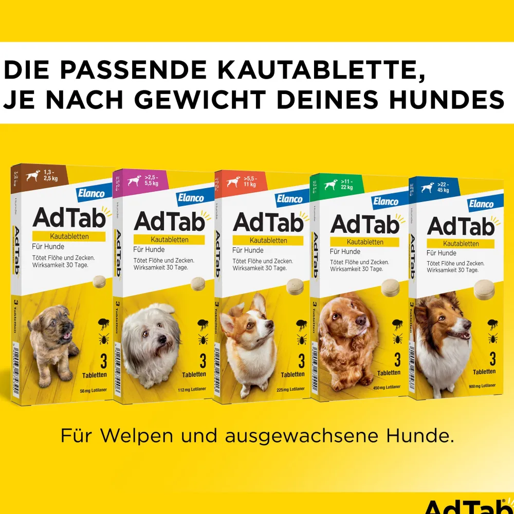 AdTab Kautabletten für Hunde über 5,5 bis 11 kg gegen Zecken und Flöhe, schnelle Abtötung von Parasiten für die Dauer von einem Monat> New