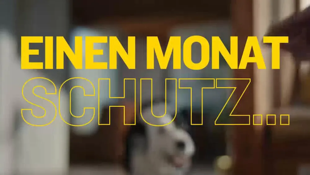 AdTab Kautabletten für Hunde über 5,5 bis 11 kg gegen Zecken und Flöhe, schnelle Abtötung von Parasiten für die Dauer von einem Monat> New