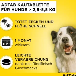 AdTab Kautabletten für Hunde über 2,5 bis 5,5 kg gegen Zecken und Flöhe, schnelle Abtötung von Parasiten für die Dauer von einem Monat><noscript><img width=
