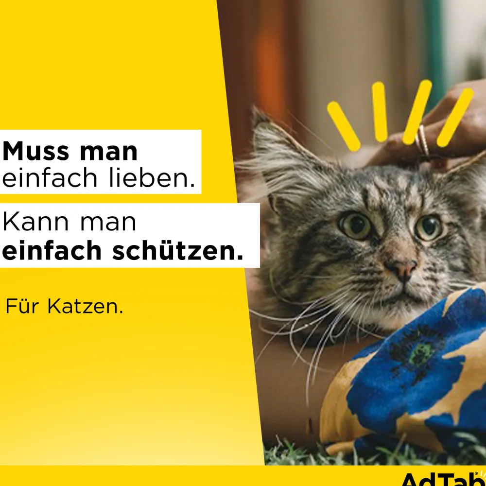 AdTab Kautabletten für Katzen über 2 bis 8 kg gegen Zecken und Flöhe, schnelle Abtötung von Parasiten für die Dauer von einem Monat> Clearance