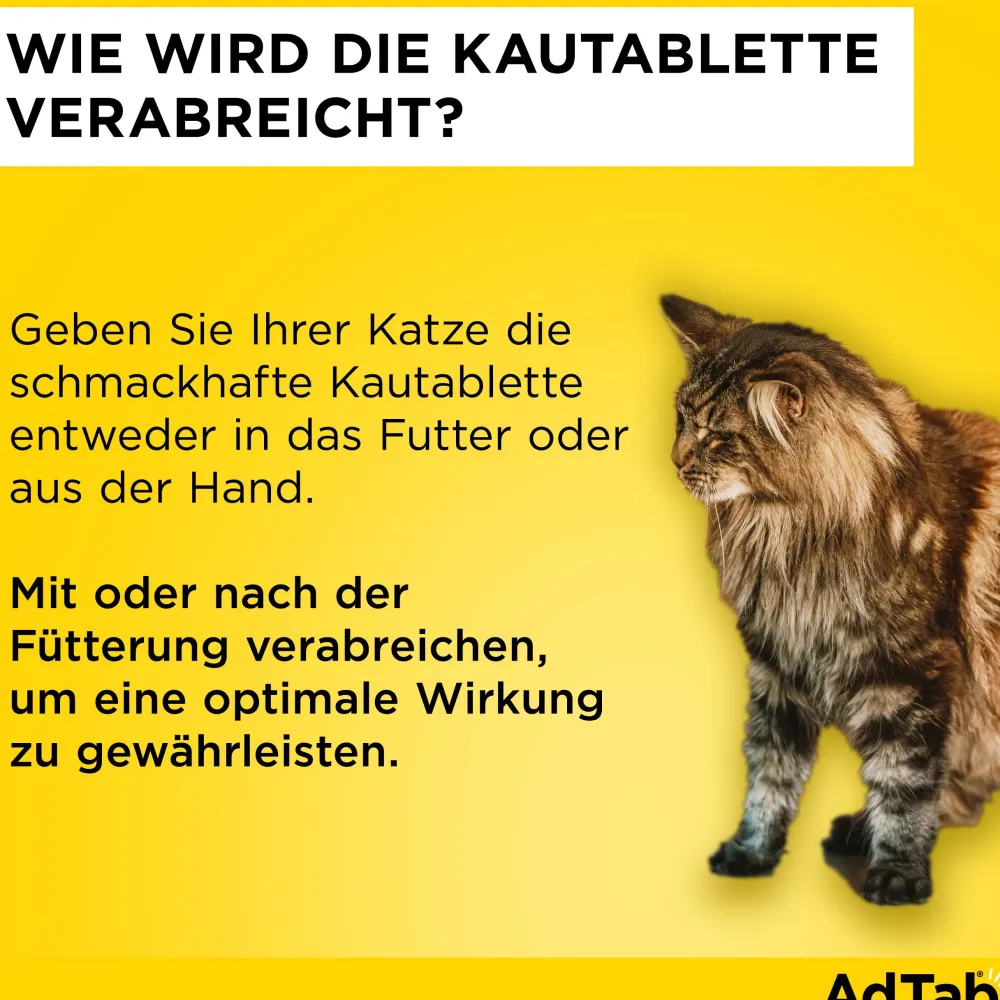 AdTab Kautabletten für Katzen über 2 bis 8 kg gegen Zecken und Flöhe, schnelle Abtötung von Parasiten für die Dauer von einem Monat> Clearance