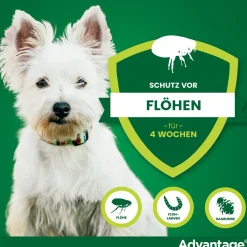Spot-On 40 gegen Flöhe für sehr kleine Hunde bis 4 kg Körpergewicht|Advantage Outlet