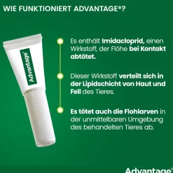 Spot-On 40 gegen Flöhe für sehr kleine Hunde bis 4 kg Körpergewicht|Advantage Outlet