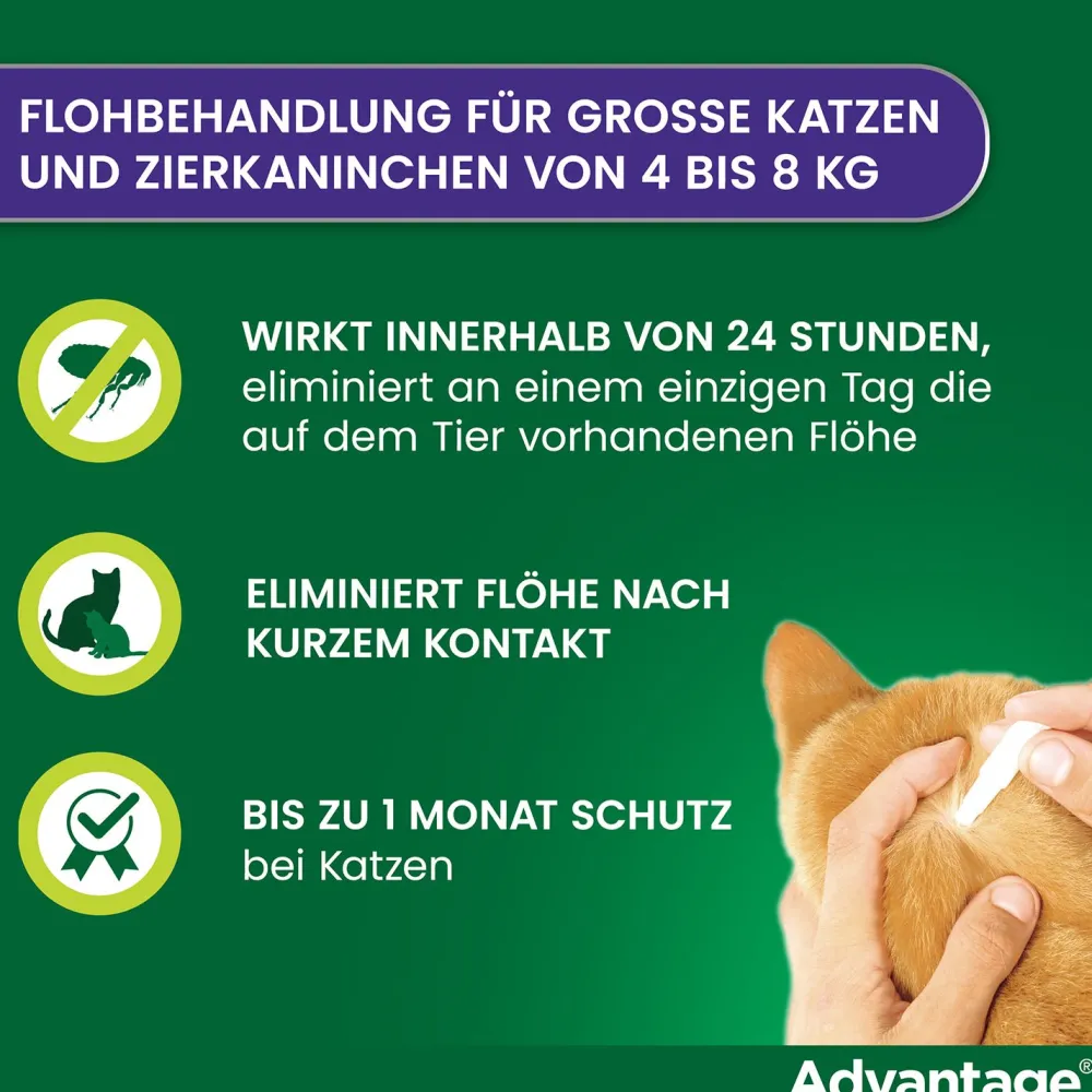 Spot-On 80 gegen Flöhe für große Katzen und Zierkaninchen von 4 bis 8 kg Körpergewicht>Advantage Best