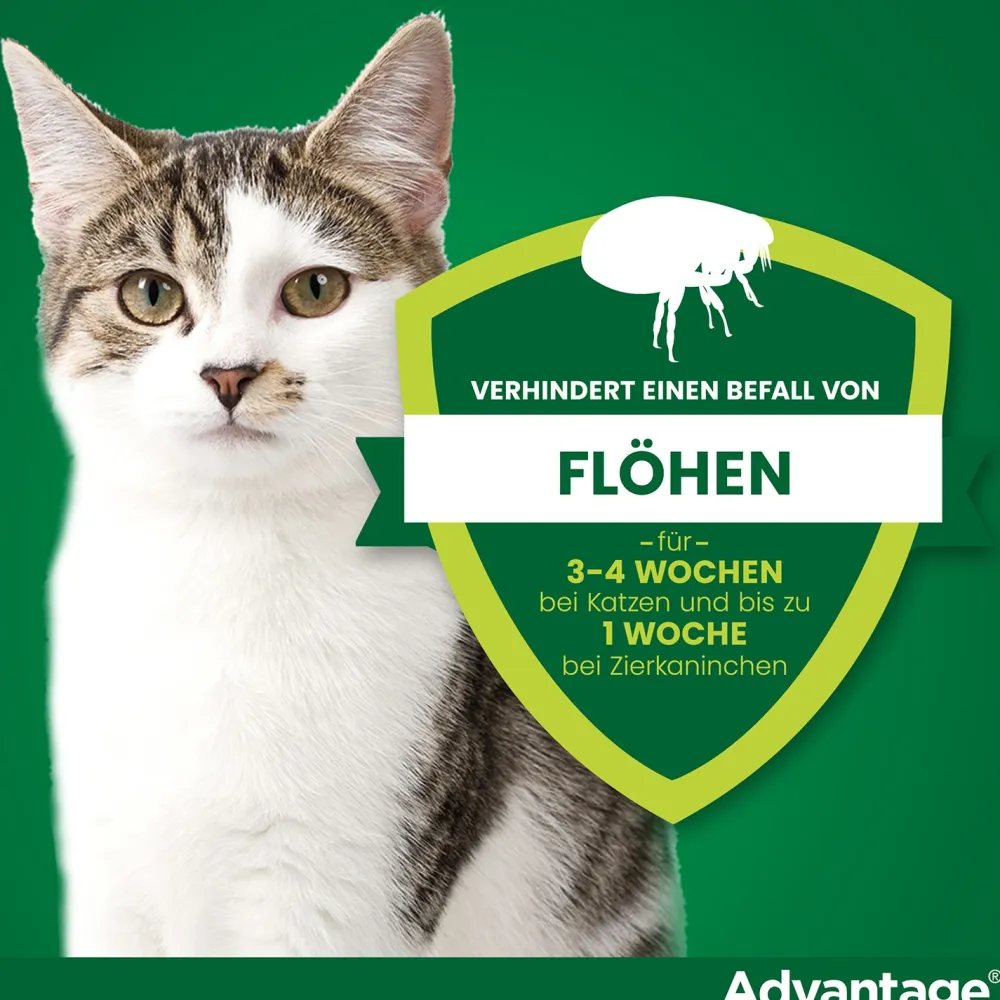 Spot-On 80 gegen Flöhe für große Katzen und Zierkaninchen von 4 bis 8 kg Körpergewicht>Advantage Best