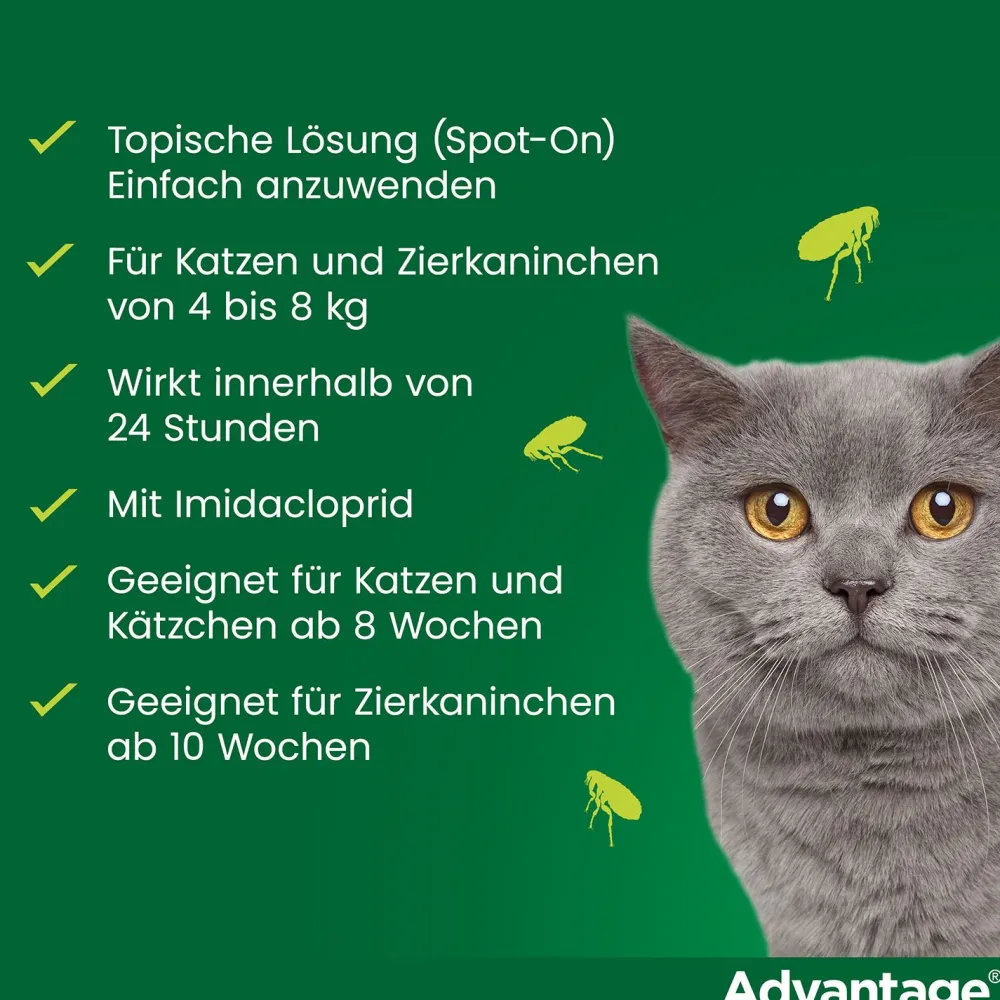 Spot-On 80 gegen Flöhe für große Katzen und Zierkaninchen von 4 bis 8 kg Körpergewicht>Advantage Best