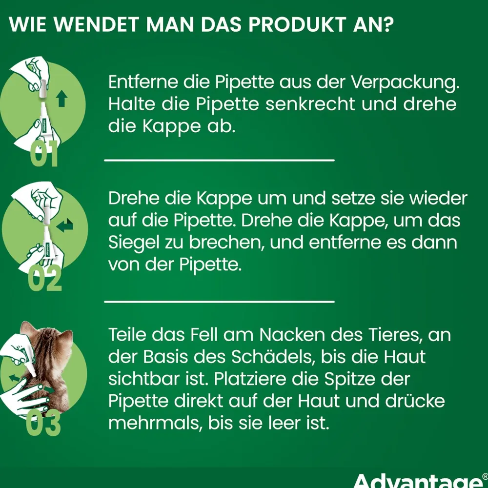 Spot-On 80 gegen Flöhe für große Katzen und Zierkaninchen von 4 bis 8 kg Körpergewicht>Advantage Best