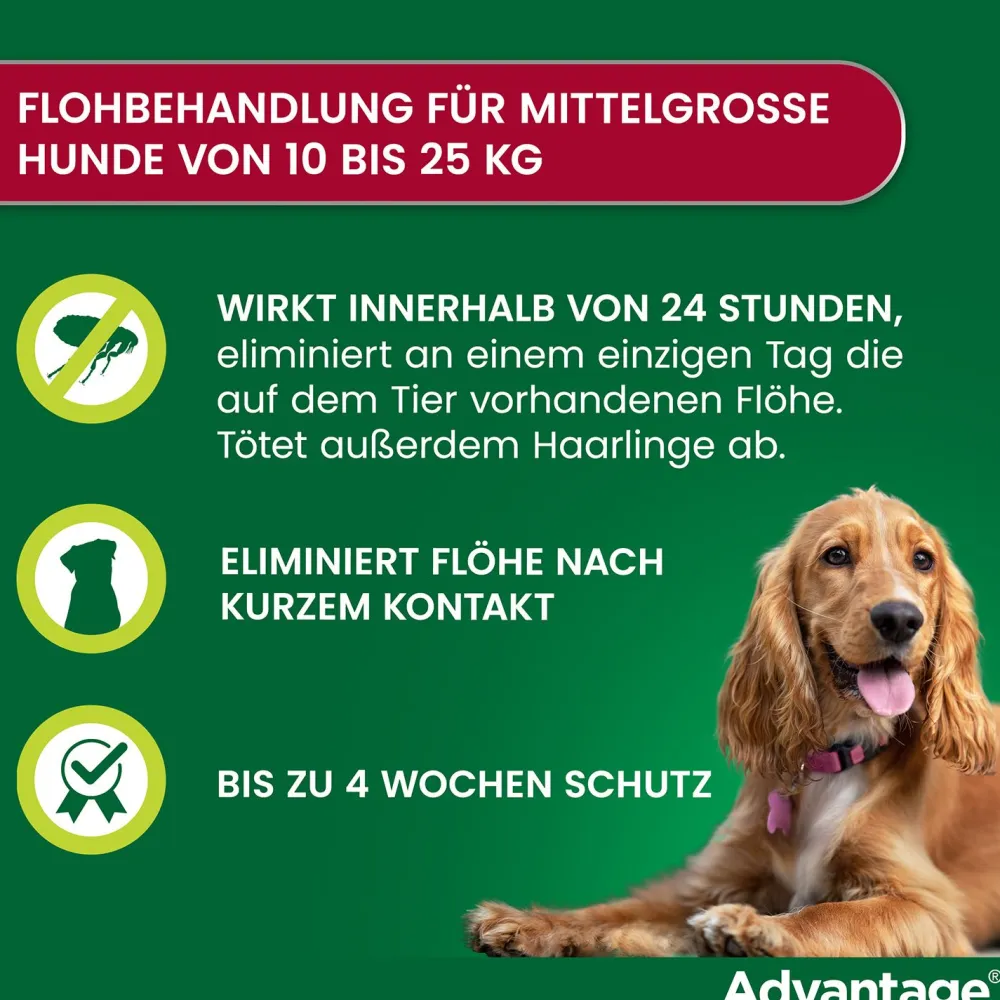 Spot-On 250 gegen Flöhe für mittelgroße Hunde von 10 bis 25 kg Körpergewicht>Advantage Discount