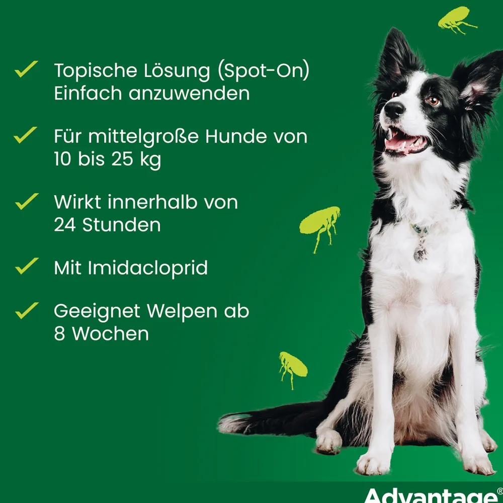 Spot-On 250 gegen Flöhe für mittelgroße Hunde von 10 bis 25 kg Körpergewicht>Advantage Discount