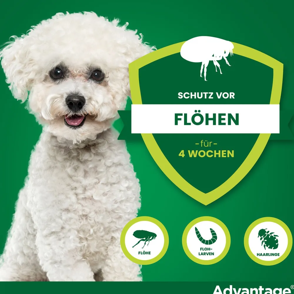 Spot-On 100 gegen Flöhe für große Hunde von 4 bis 10 kg Körpergewicht>Advantage Clearance