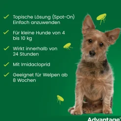 Spot-On 100 gegen Flöhe für große Hunde von 4 bis 10 kg Körpergewicht><noscript><img width=