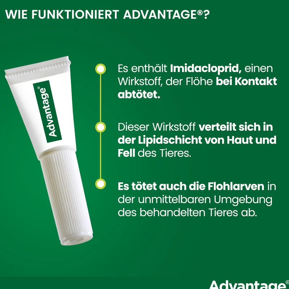 Spot-On 100 gegen Flöhe für große Hunde von 4 bis 10 kg Körpergewicht>Advantage Clearance