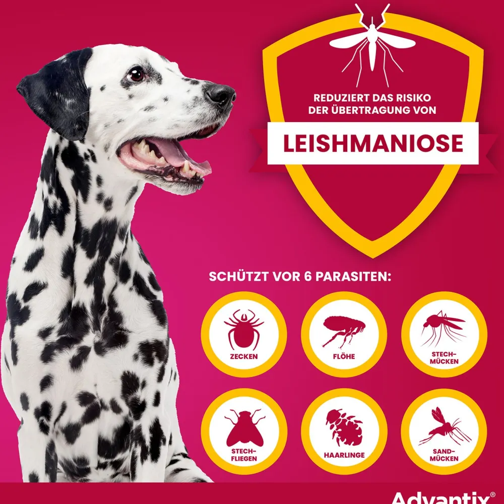 Advantix Spot-On 400 für große Hunde bis 40 kg Körpergewicht gegen Zecken, Flöhe und fliegende Insekten, bis zu 4 Wochen Wirksamkeit| New