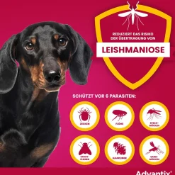 Advantix Spot-On 100 für kleine Hunde von 4 bis 10 kg Körpergewicht gegen Zecken, Flöhe und fliegende Insekten, bis zu 4 Wochen Wirksamkeit><noscript><img width=