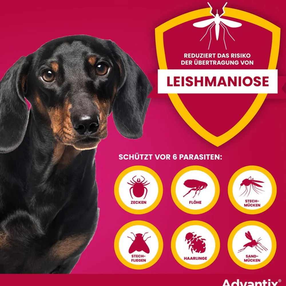 Advantix Spot-On 100 für kleine Hunde von 4 bis 10 kg Körpergewicht gegen Zecken, Flöhe und fliegende Insekten, bis zu 4 Wochen Wirksamkeit> Clearance