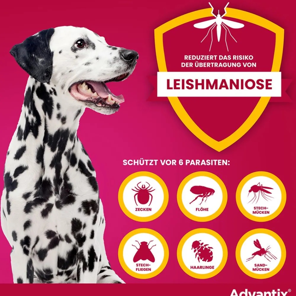 Advantix Spot-On 250 für mittelgroße Hunde von 10 bis 25 kg Körpergewicht gegen Zecken, Flöhe und fliegende Insekten, bis zu 4 Wochen Wirksamkeit| Online