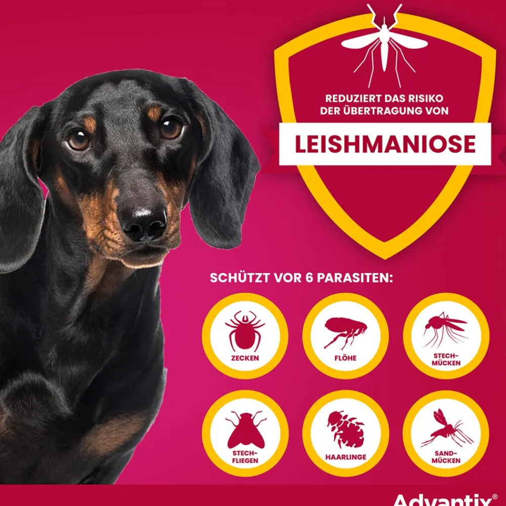 Advantix Spot-On 40 für sehr kleine Hunde bis 4 kg Körpergewicht gegen Zecken, Flöhe und fliegende Insekten, bis zu 4 Wochen Wirksamkeit| Online