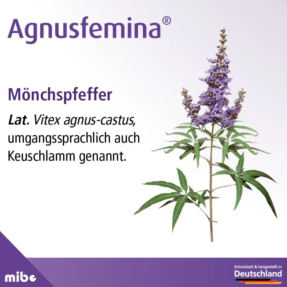 Agnusfemina® – natürliche Hilfe bei Menstruationsbeschwerden>