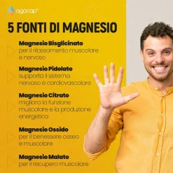 Agocap – Magnesium Komplex aus 5 Quellen – für Muskeln, Energie & Nerven – Nahrungsergänzungsmittel><noscript><img width=