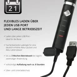 FLASH TRAVEL USB-Schallzahnbürste|AILORIA Sale