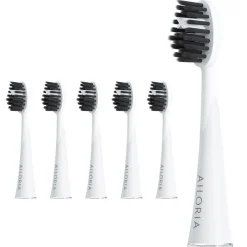 SHINE BRIGHT Charcoal Ersatzbürstenköpfe 6er Set>AILORIA Discount