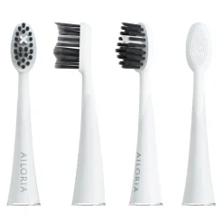 SHINE BRIGHT Charcoal Ersatzbürstenköpfe 6er Set>AILORIA Discount
