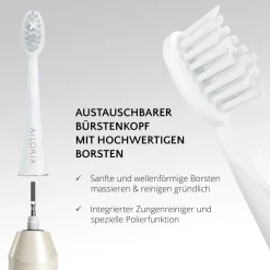SHINE BRIGHT USB-Schallzahnbürste|AILORIA Best
