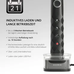 SHINE BRIGHT USB-Schallzahnbürste|AILORIA Discount