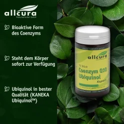 Coenzym Q 10 Ubiquinol 100 mg>allcura Online