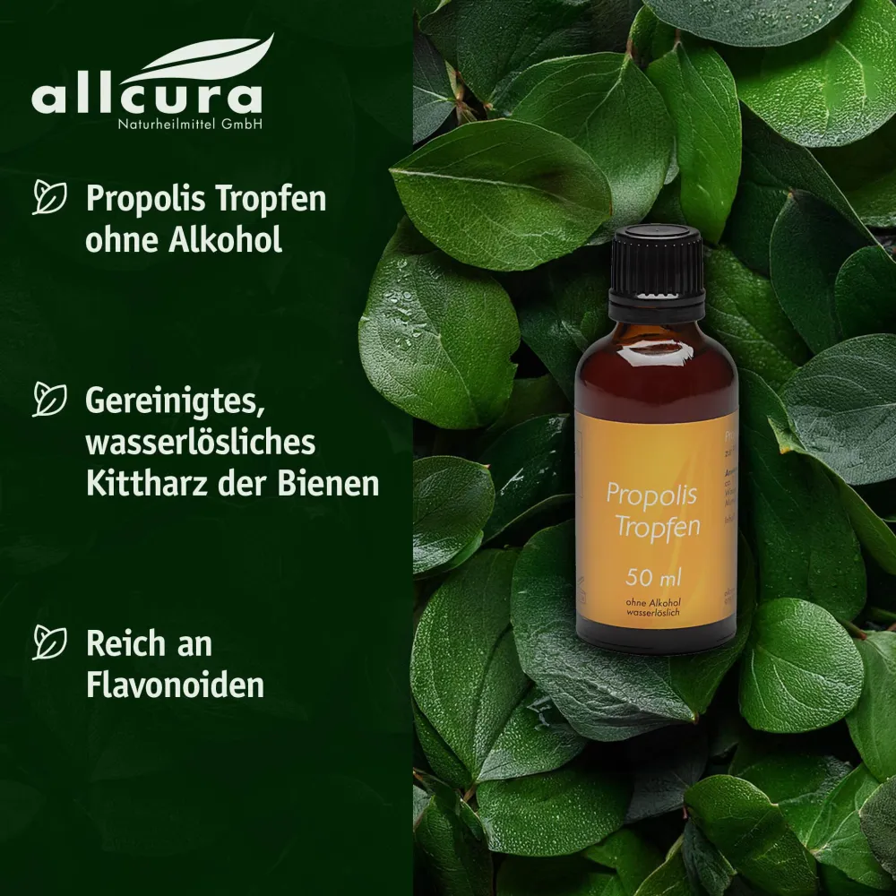 Propolis Tropfen ohne Alkohol>allcura