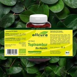 Topinambur Kapseln|allcura Best