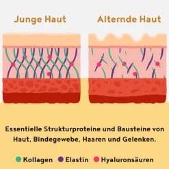 ALPHA FOODS Kollagen Elastin+ Hyaluronsäure Vanille| Best