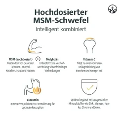 ® MSM Arthro|Alpinamed Discount