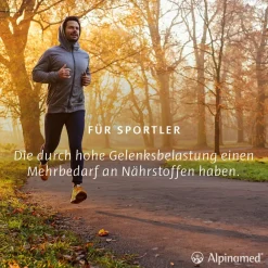 ® MSM Arthro|Alpinamed Discount