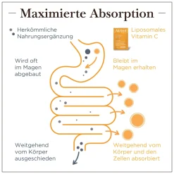 Altrient LIPOSOMAL VITAMIN C| Hot