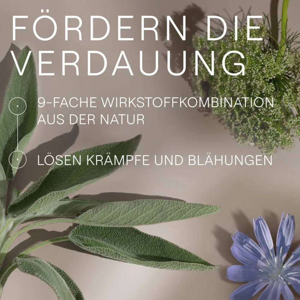 Amara-Tropfen bei Verdauungsstörungen, z.B. Sodbrennen, Übelkeit, Blähungen – mit Bitterstoffen|WELEDA Discount