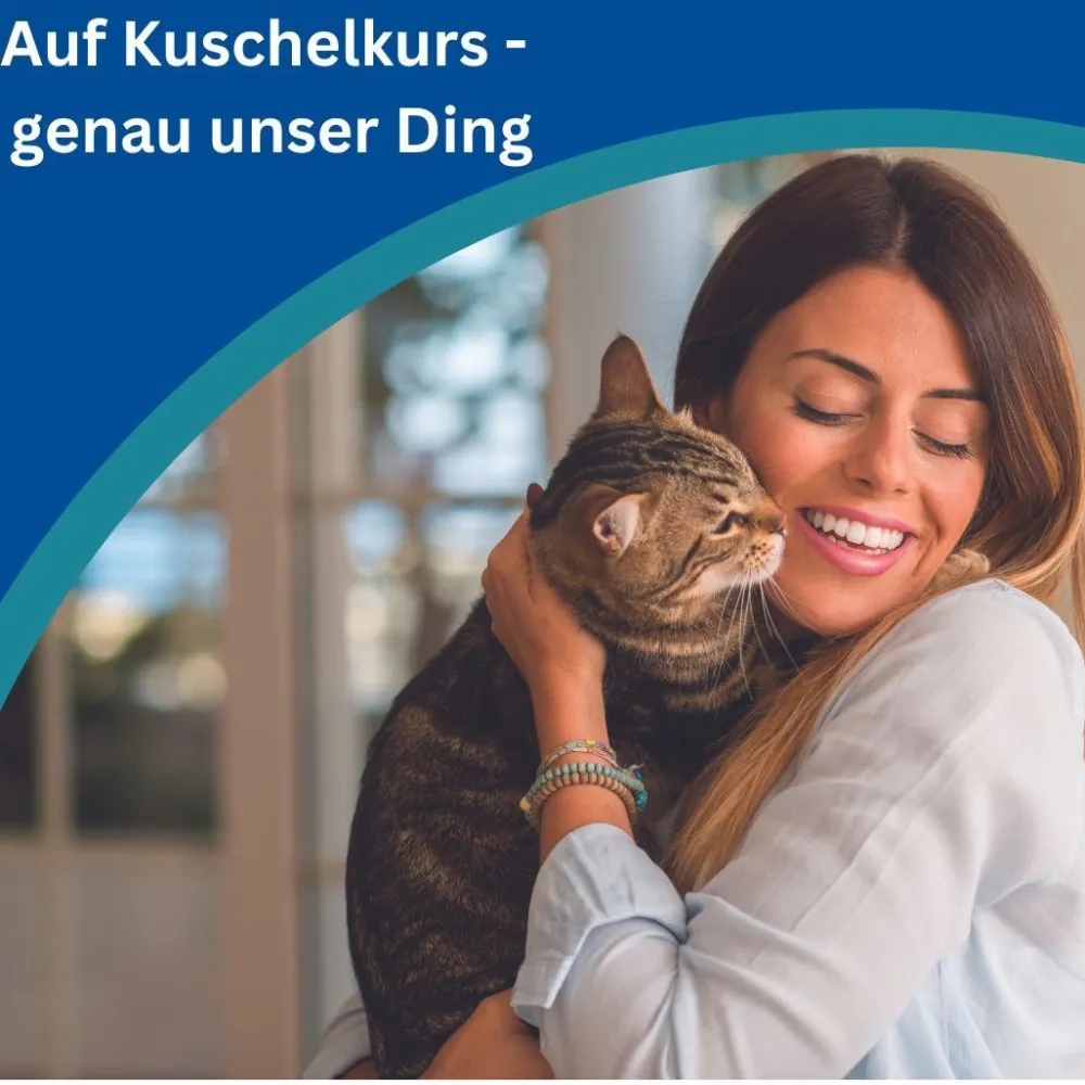 Amflee® combo 50 mg/60 ml für Katzen|