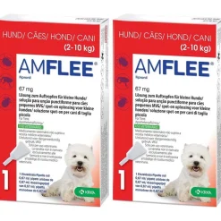 Amflee® 67 mg für kleine Hunde> Discount