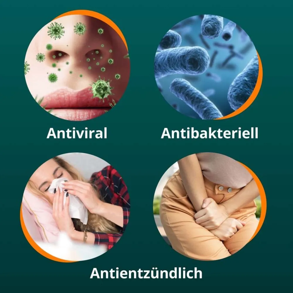 ® Anti-Infekt N|ANGOCIN Online