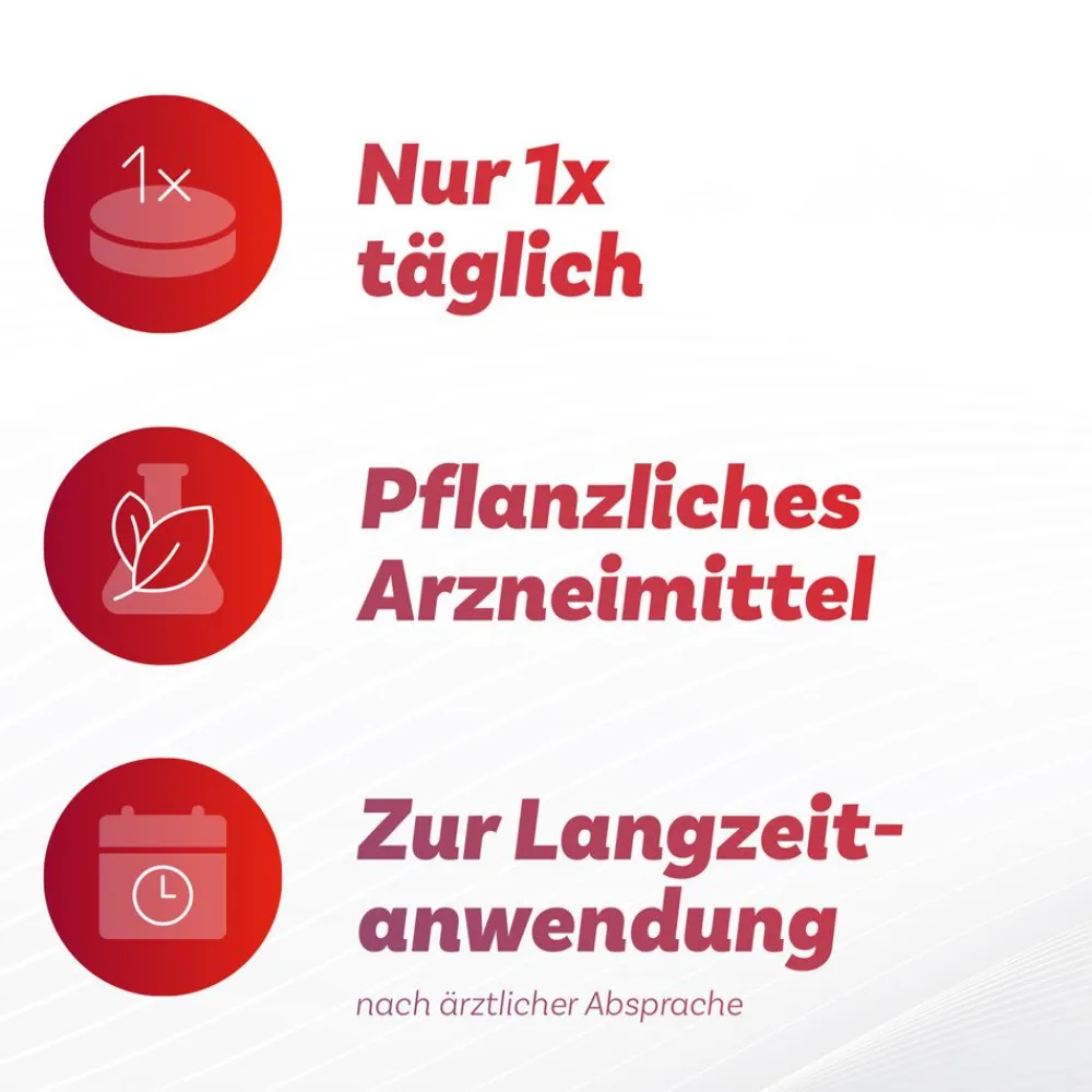 ® Venenset|Antistax Best