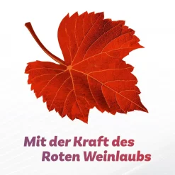 ® Venenset|Antistax Best